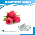 Low price raspberry ketone glucoside extract